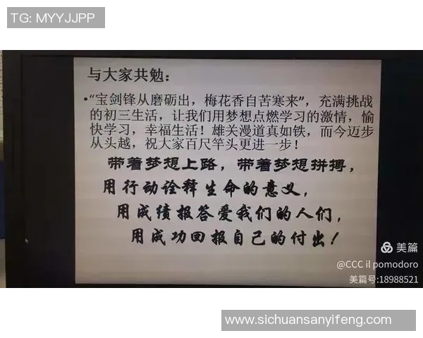 上海篮球队心理素质深度解析与提升策略探讨