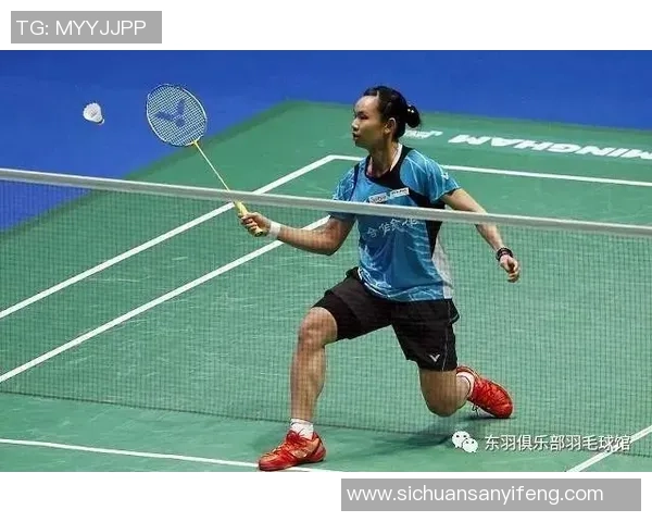 杭州羽毛球队实力深度解析与其他队伍的对比分析