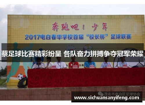 蔡足球比赛精彩纷呈 各队奋力拼搏争夺冠军荣耀