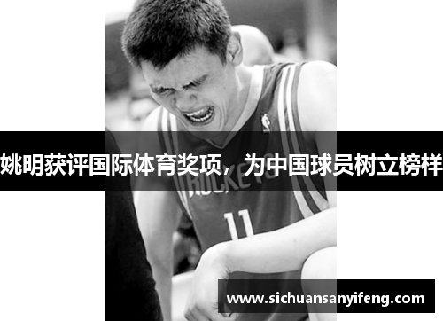 姚明获评国际体育奖项，为中国球员树立榜样